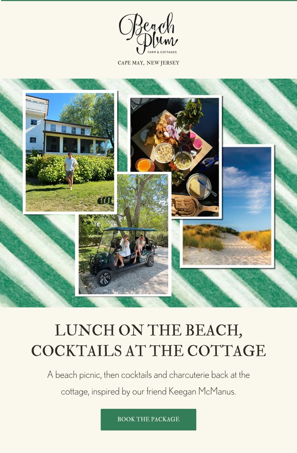 Beach Plum Farm email design for Lunch on the Beach, Cocktails at the Cottage.