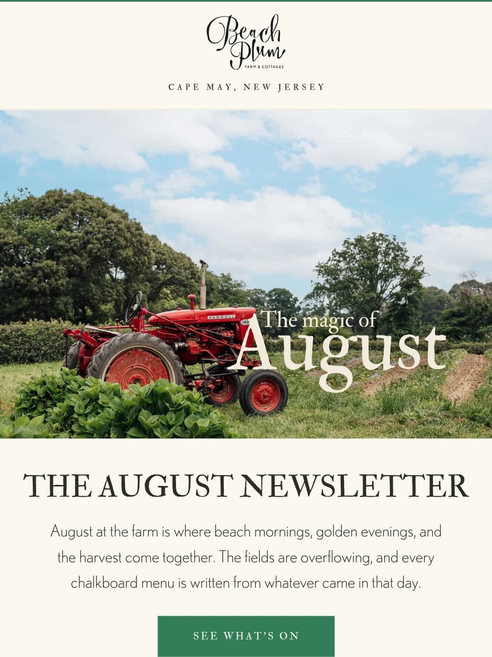 Beach Plum Farm email design for Magic of August.