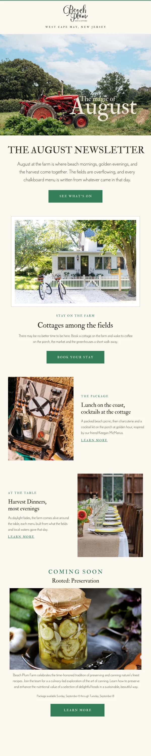 Beach Plum Farm email design for Magic of August.