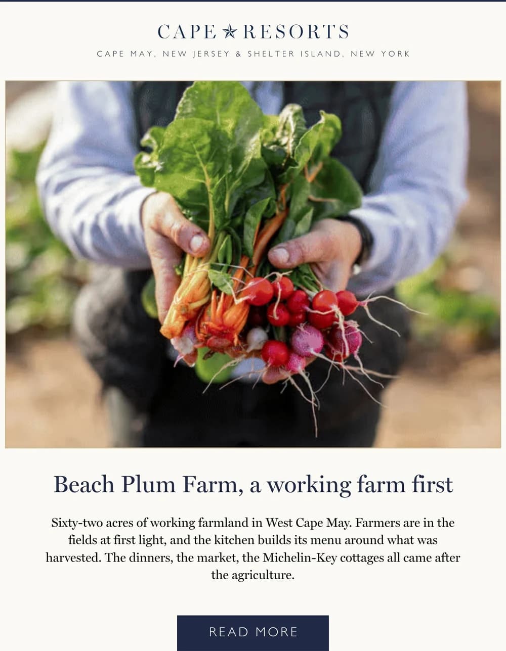 Cape Resorts email design for Beach Plum Farm.