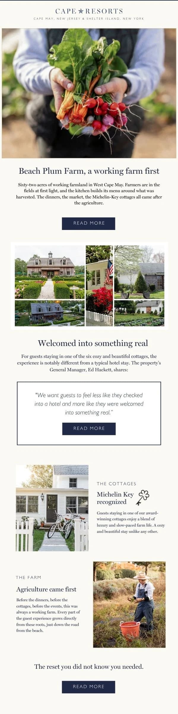Cape Resorts email design for Beach Plum Farm.