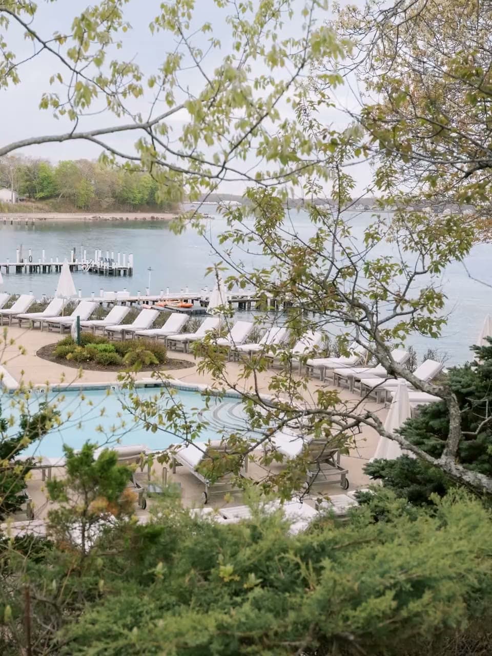 Spring branches over the Pridwin pool terrace, leaves moving above the bay and the empty loungers.