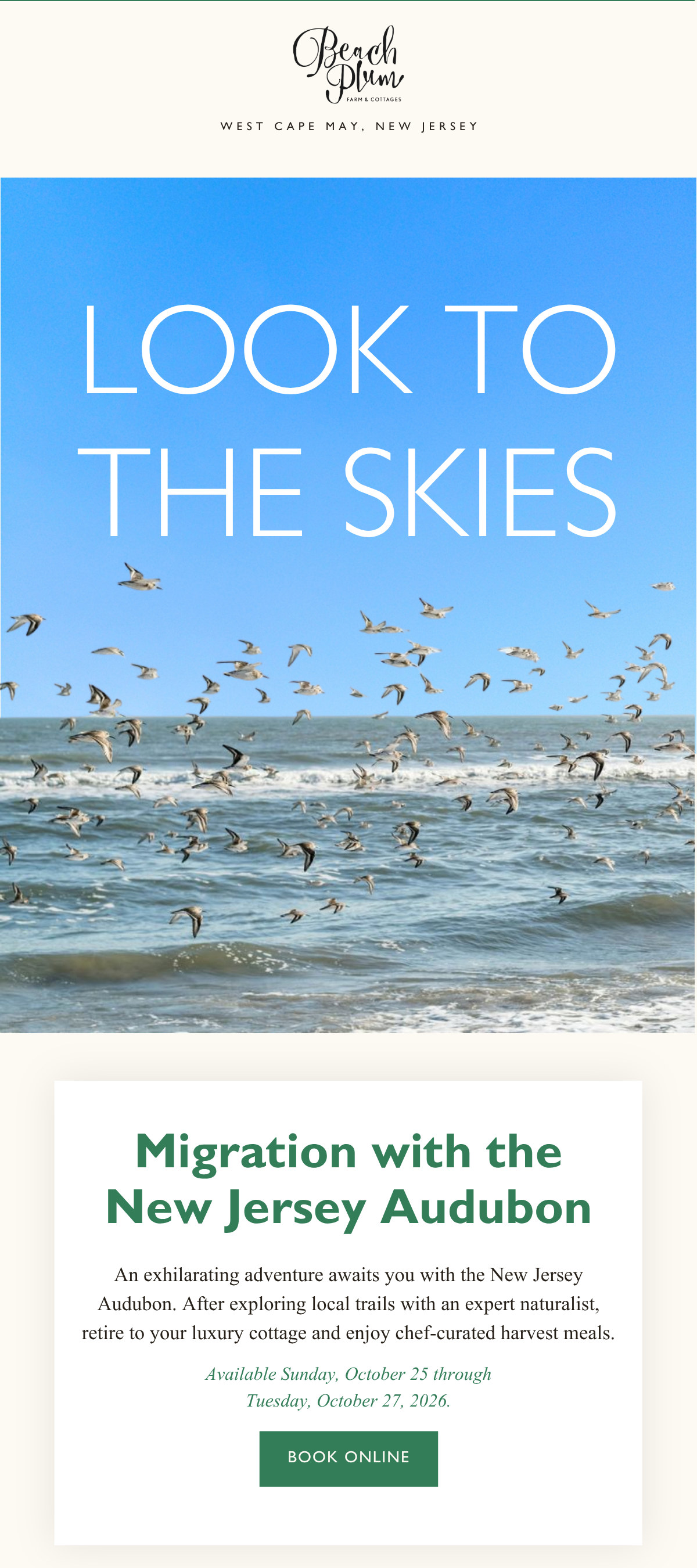 Beach Plum Farm's email opens on Look to the Skies over shorebirds flying above the surf, followed by a card inviting guests on a bird migration walk with a Book Online button.